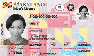 MD MVA driver's license
